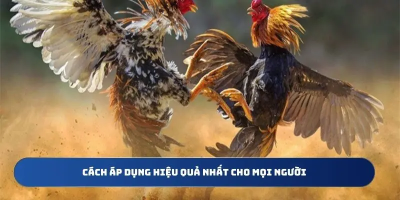 Cách áp dụng hiệu quả nhất cho mọi người