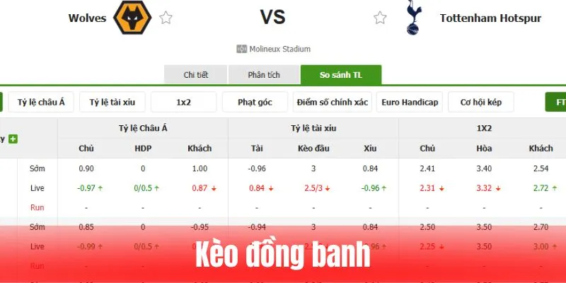 Kèo Đồng Banh - Các Dự Đoán Chính Xác Lên Tới 80%