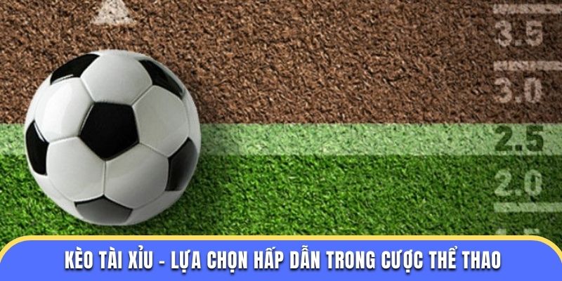 Kèo Tài Xỉu - Lựa Chọn Hấp Dẫn Trong Cược Thể Thao