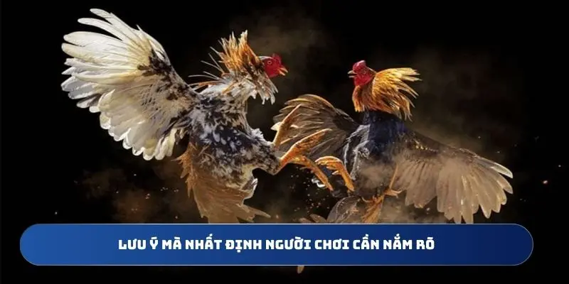 Lưu ý mà nhất định người chơi cần nắm rõ