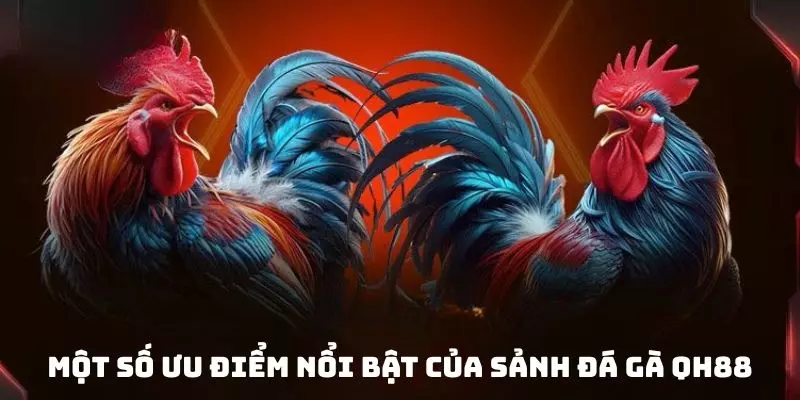 Lý do nên ghi danh sân chơi cược kê QH88