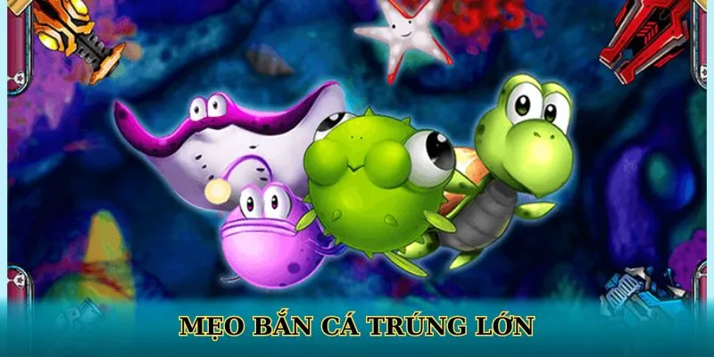 Mẹo Bắn Cá Trúng Lớn QH88 Người Mới Cần Biết