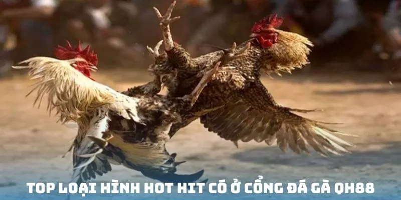 Một số sản phẩm độc nhất vô nhị có ở nền tảng đá gà