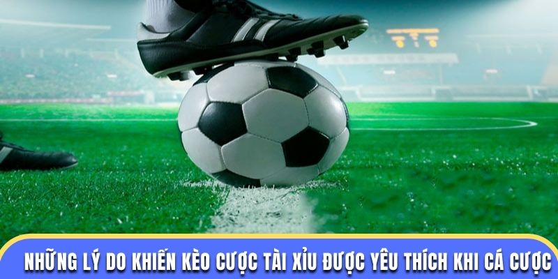 Những lý do khiến kèo cược tài xỉu được yêu thích khi cá cược
